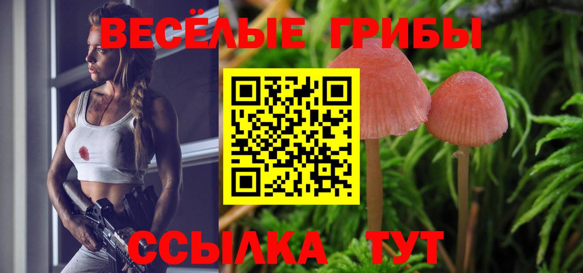 Галлюциногенные грибы мицелий  Вход с VPN  Мирный 