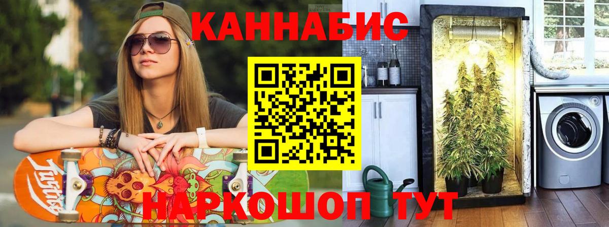 Марихуана план  Вход с VPN  Бошки марихуана гибрид  Мирный  Канабис тримм  Бошки Шишки планчик 